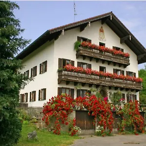  Apartment Zum Dammerbauer
